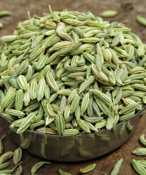 Fennel