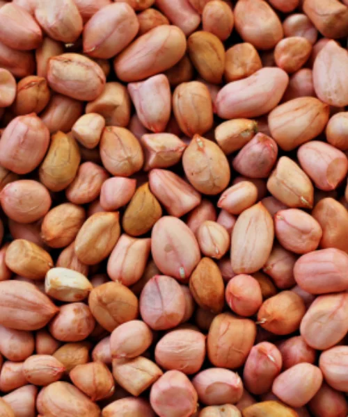 Groundnuts