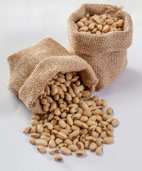 Soybean